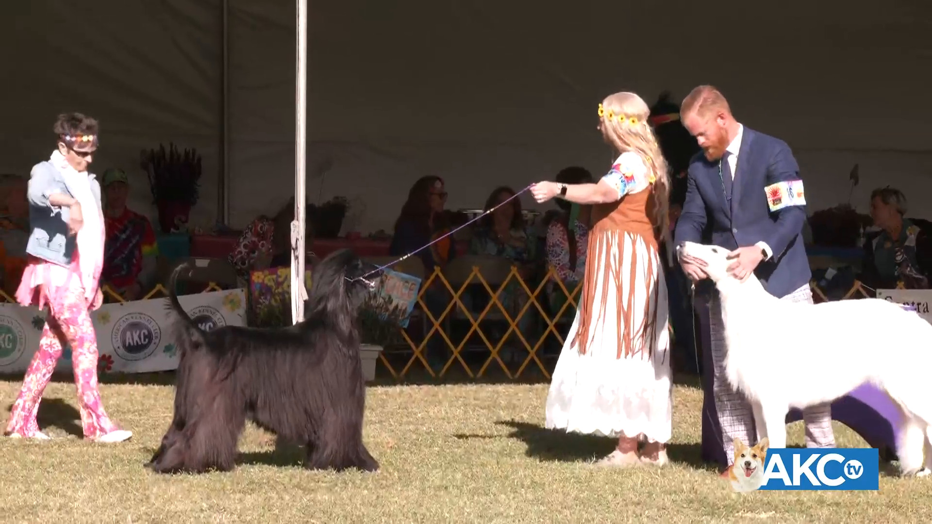 2024 Woofstock Dog Show Full Show AKC.tv