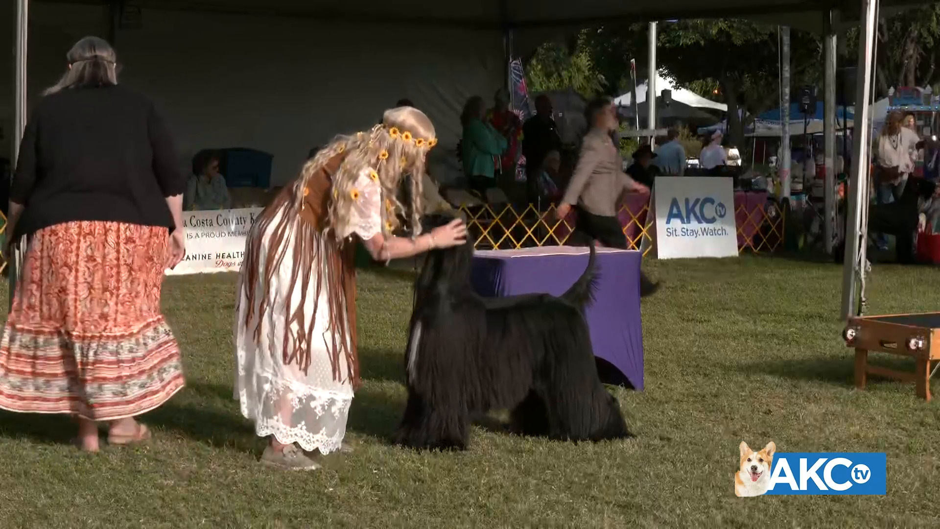 2024 Woofstock Dog Show Full Show AKC.tv