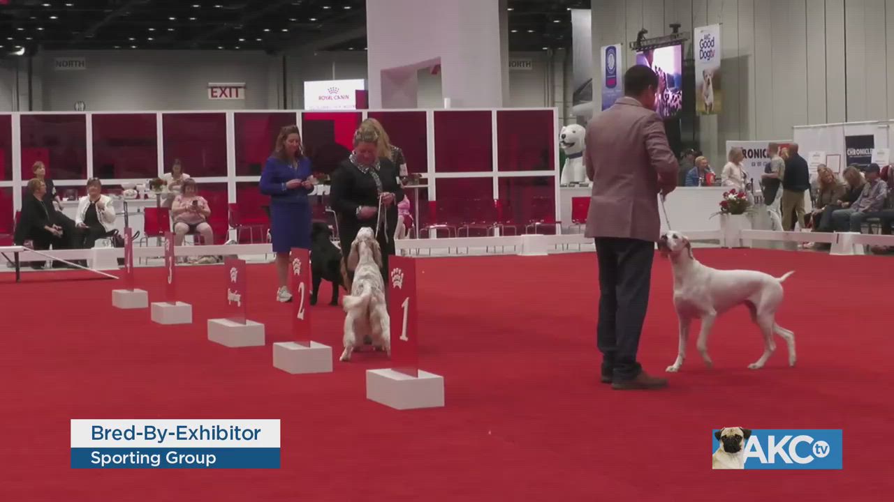 Sporting Group AKC.tv