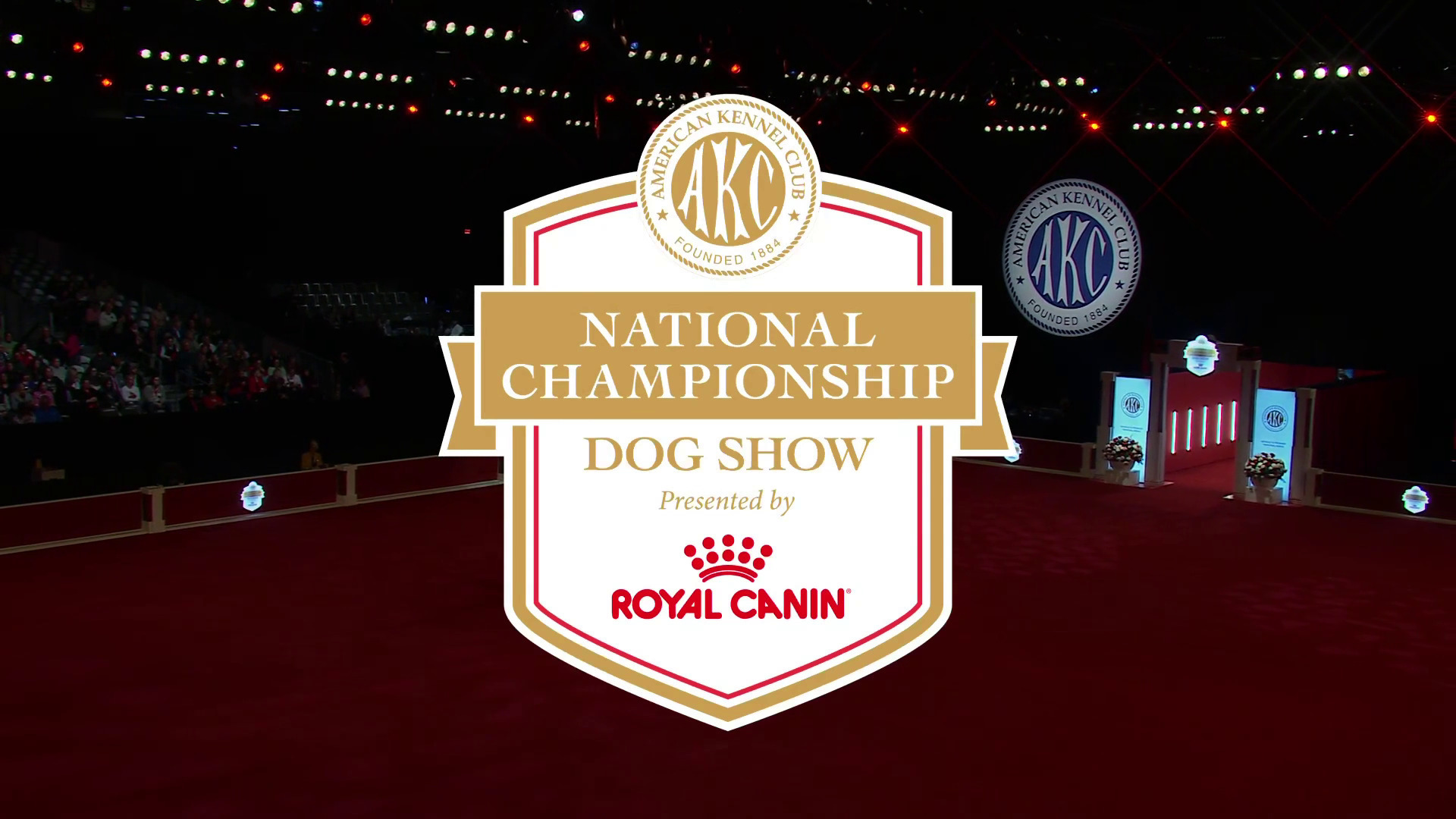 Akc royal canin best sale