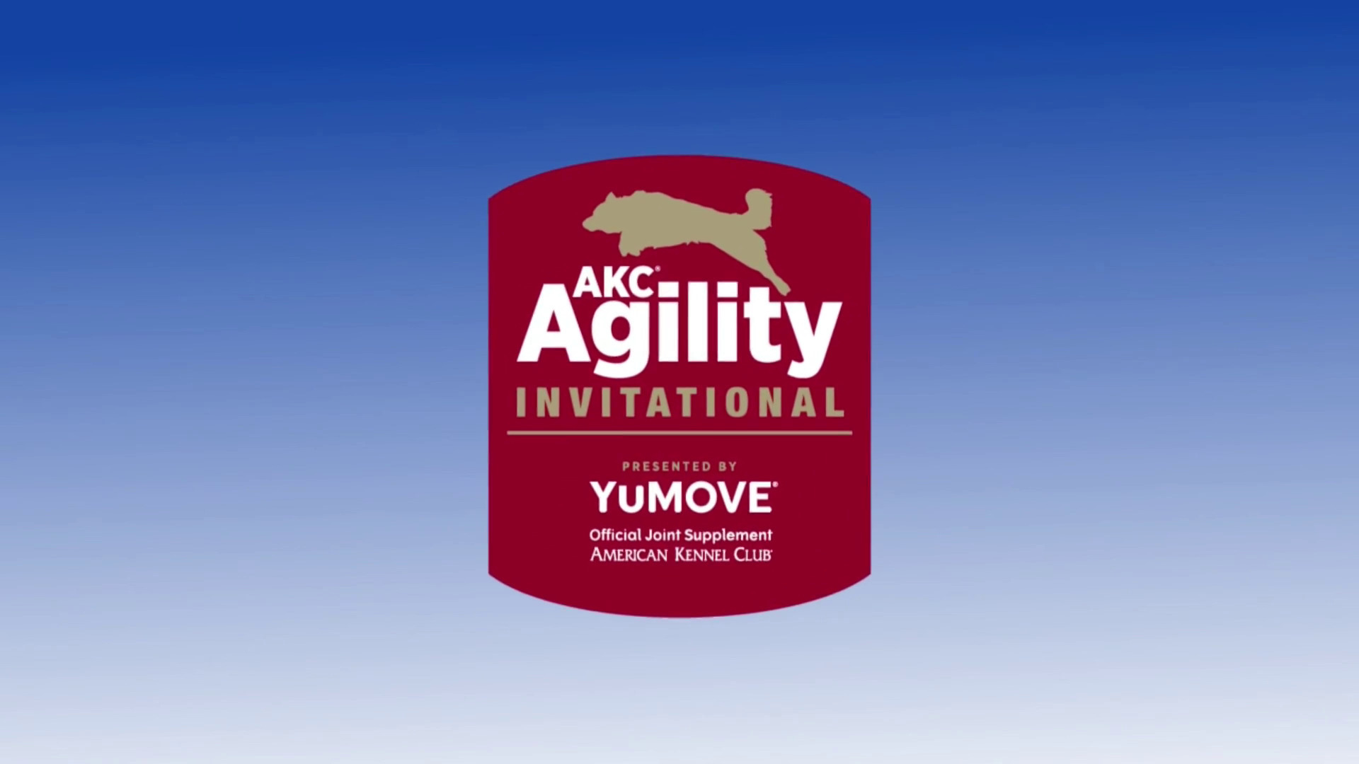 Full Show 2022 AKC Agility Invitational AKC.tv