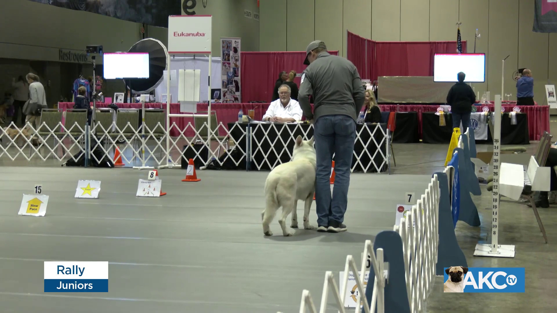 Junior Rally | AKC.tv
