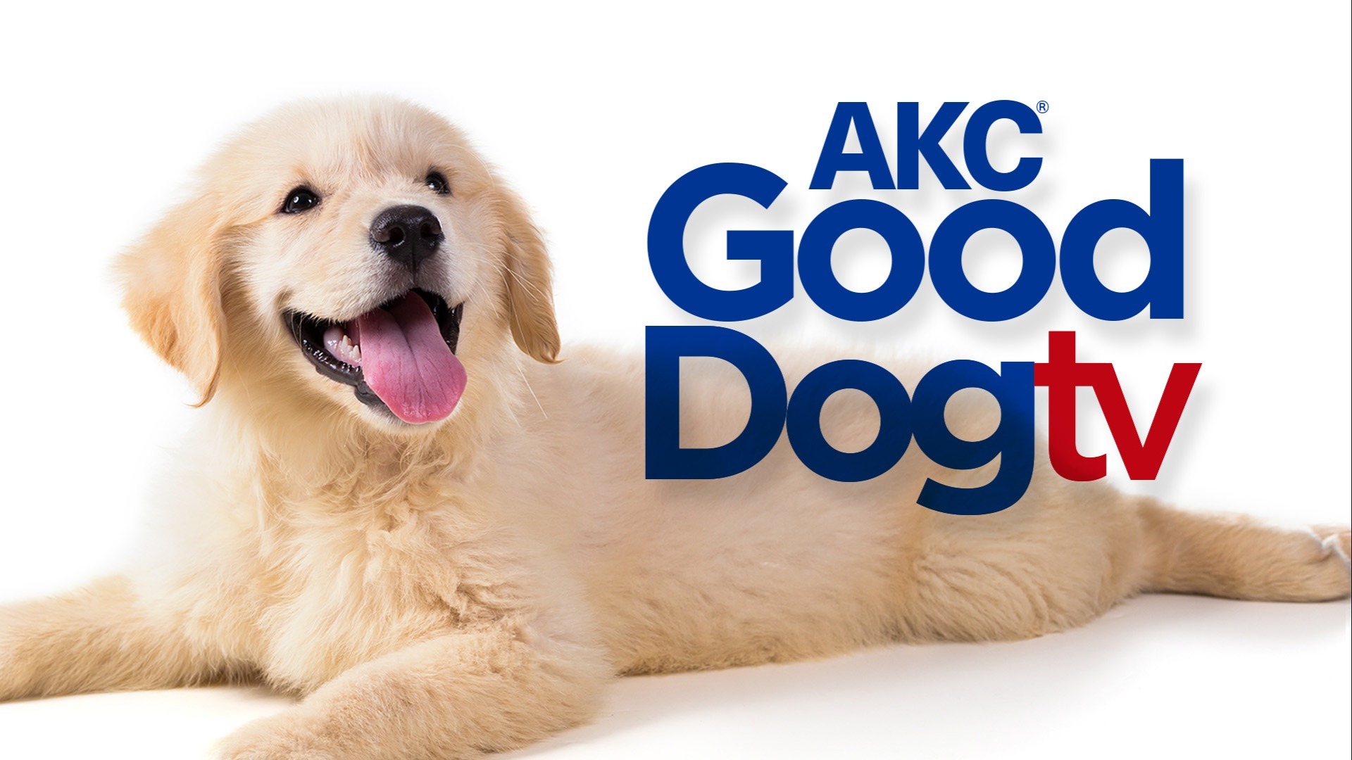 AKC Good Dog TV AKC.tv