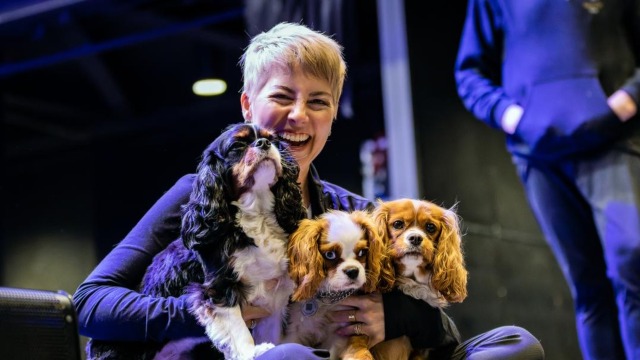 SEE IT, Capitals service dog Biscuit goes to puppy class for training