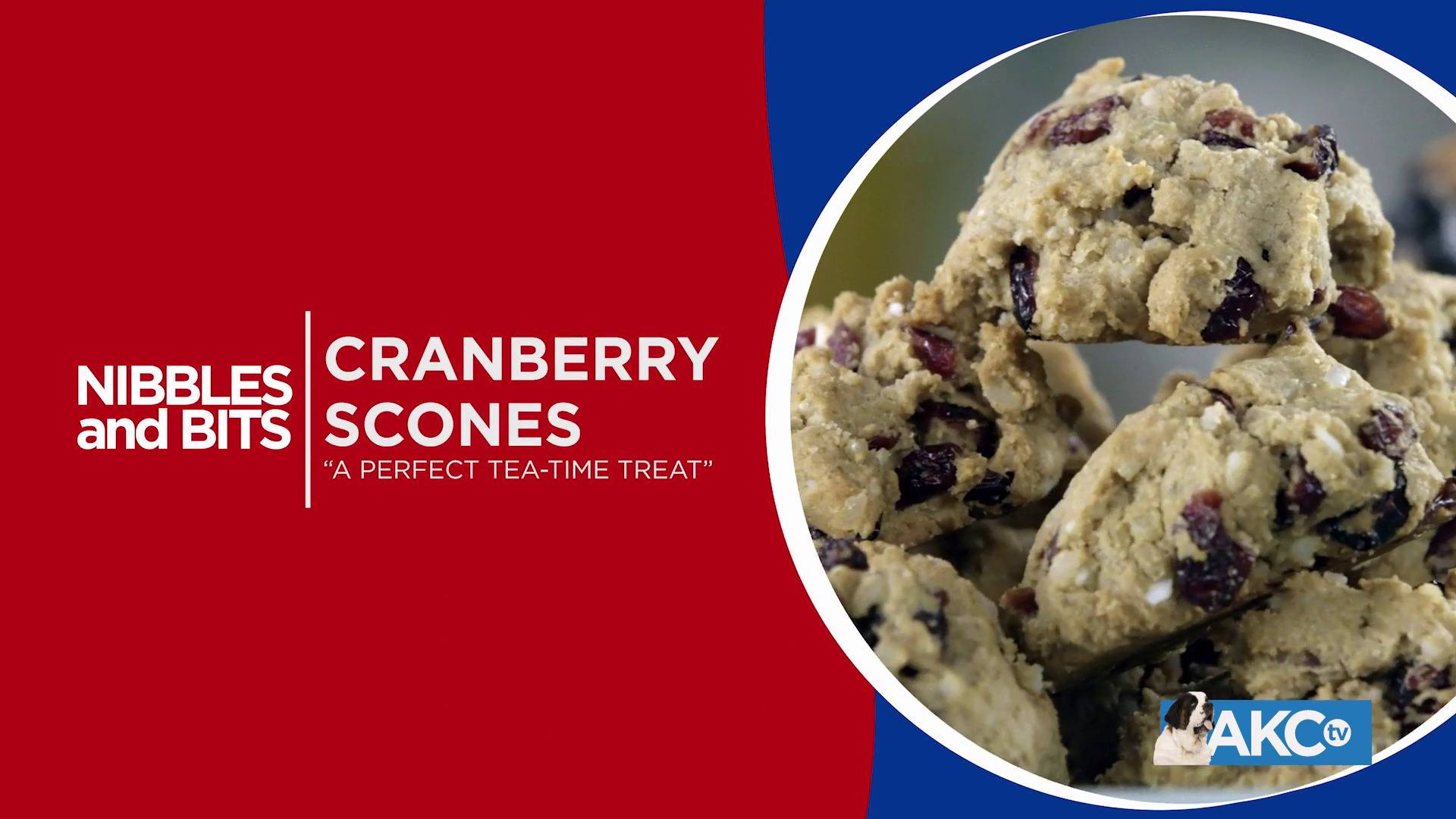 Nibbles & Bits Cranberry Scones AKC.tv