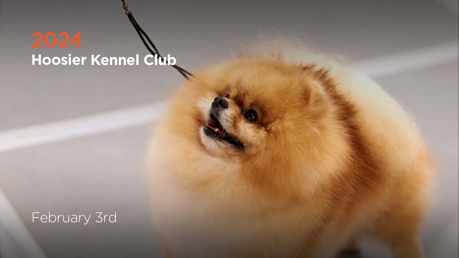 2024 Hoosier Kennel Club AKC.tv