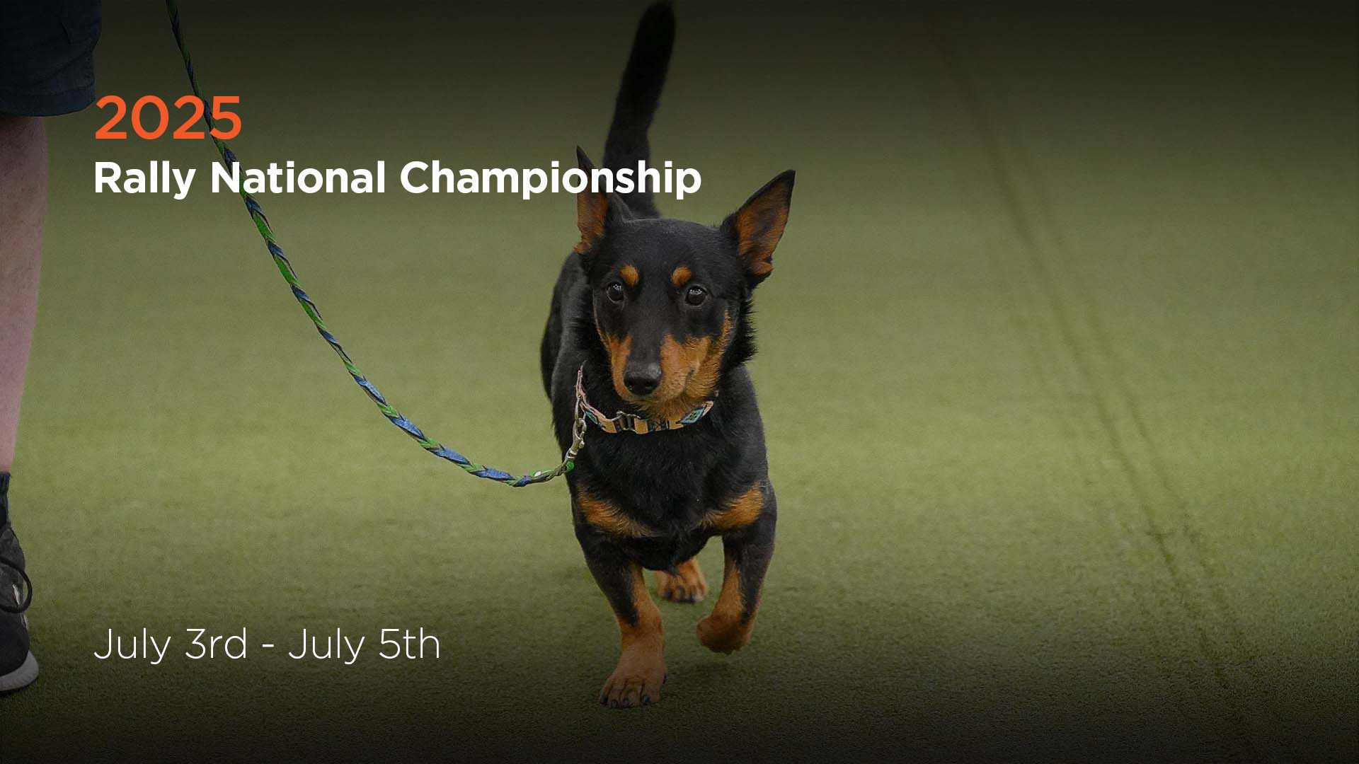 Akc Rally Nationals 2025