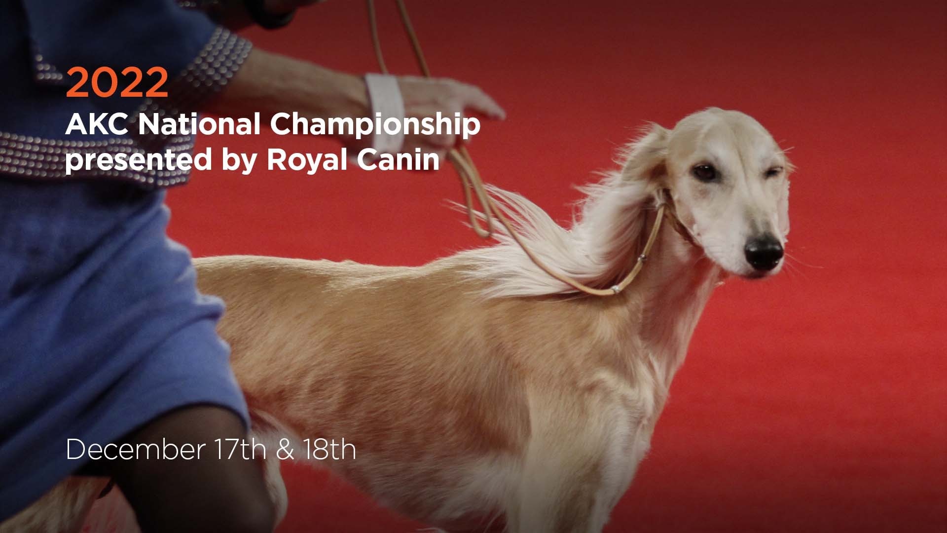2022 AKC National Championship presented by Royal Canin AKC.tv