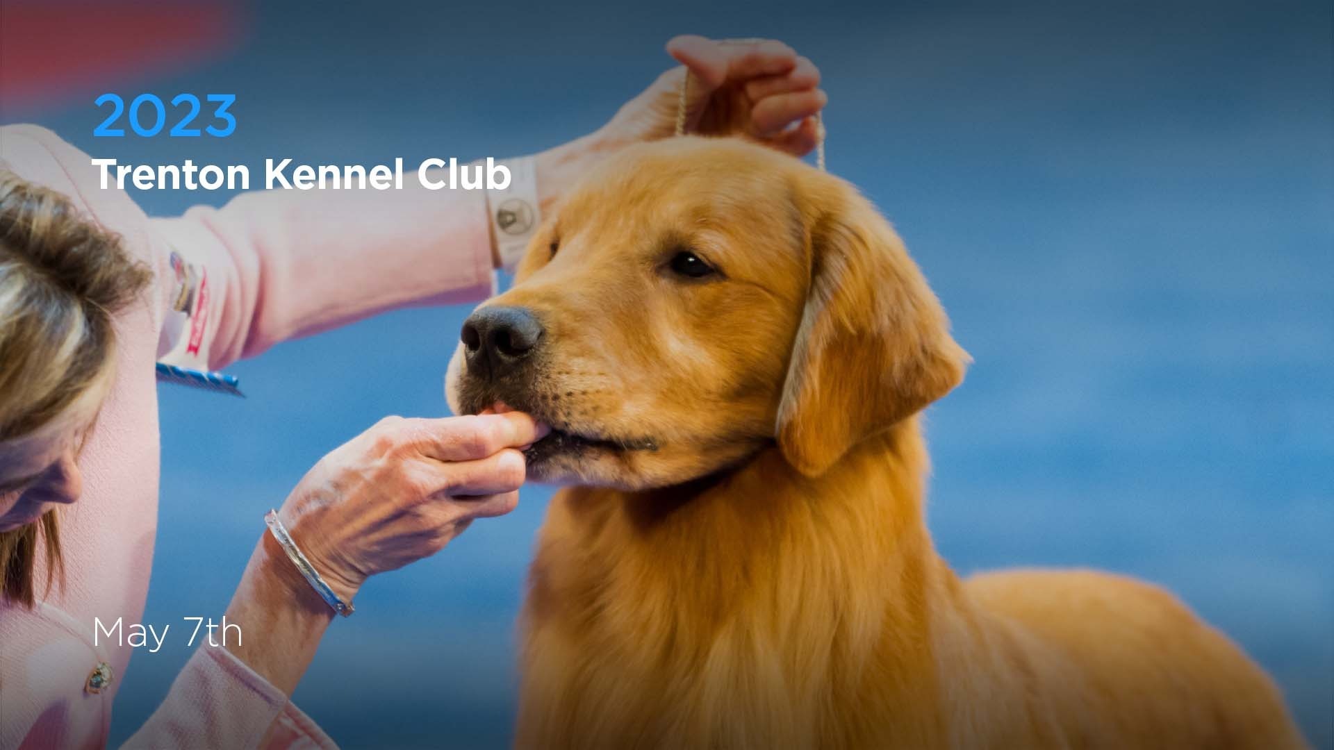 2023 Trenton Kennel Club AKC.tv