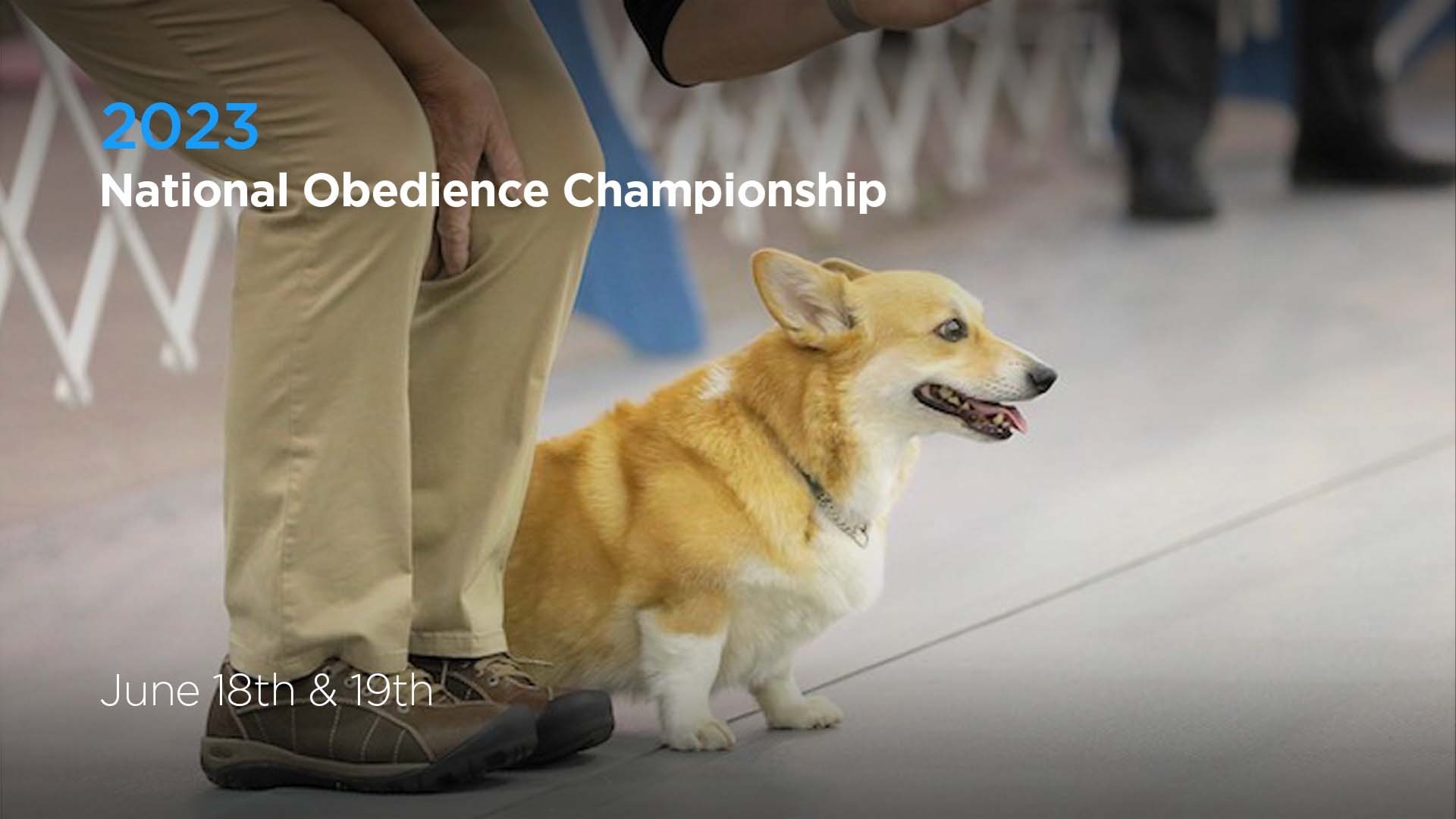 2023 National Obedience Championship AKC.tv