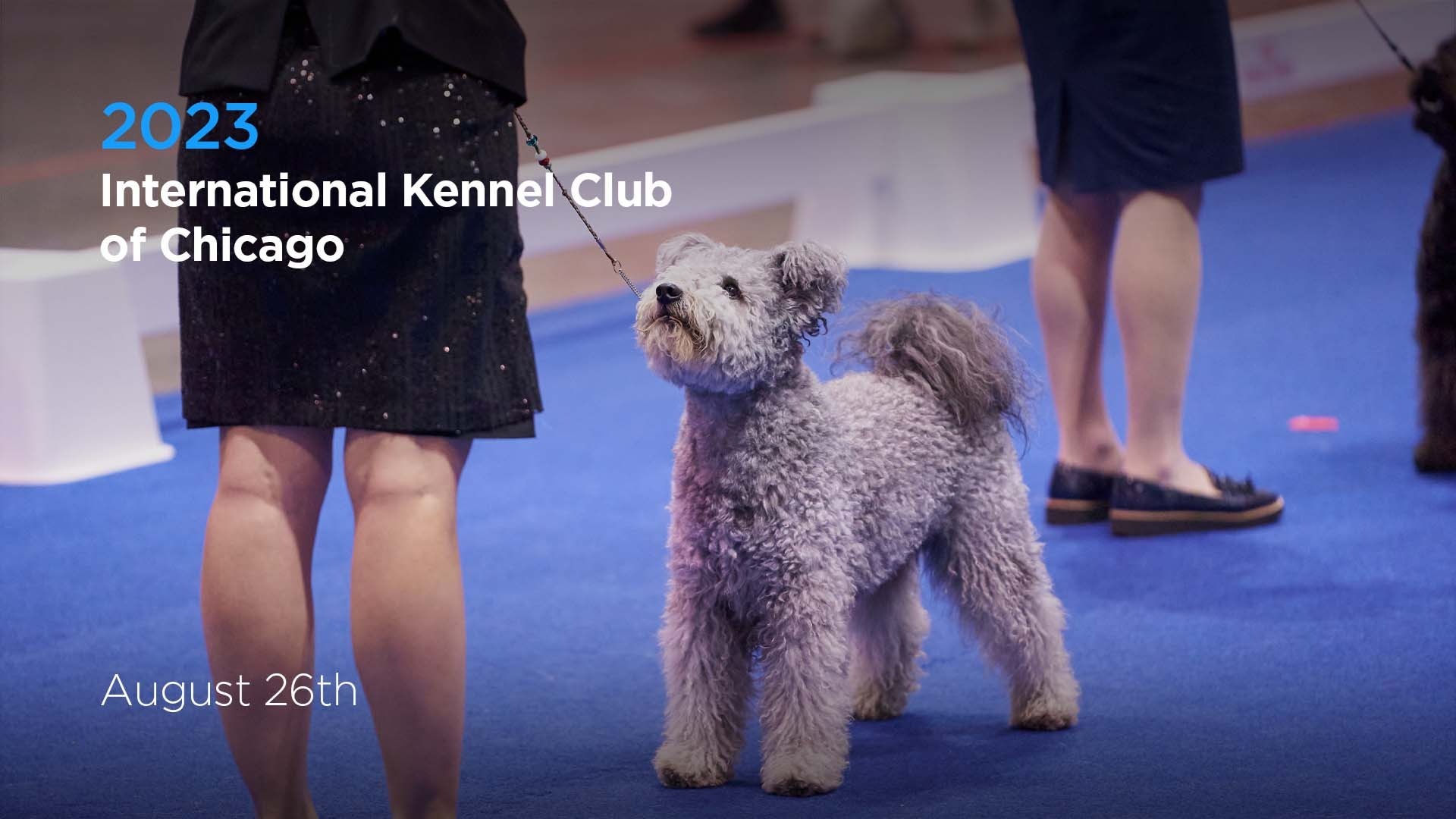2023 International Kennel Club Of Chicago Akctv